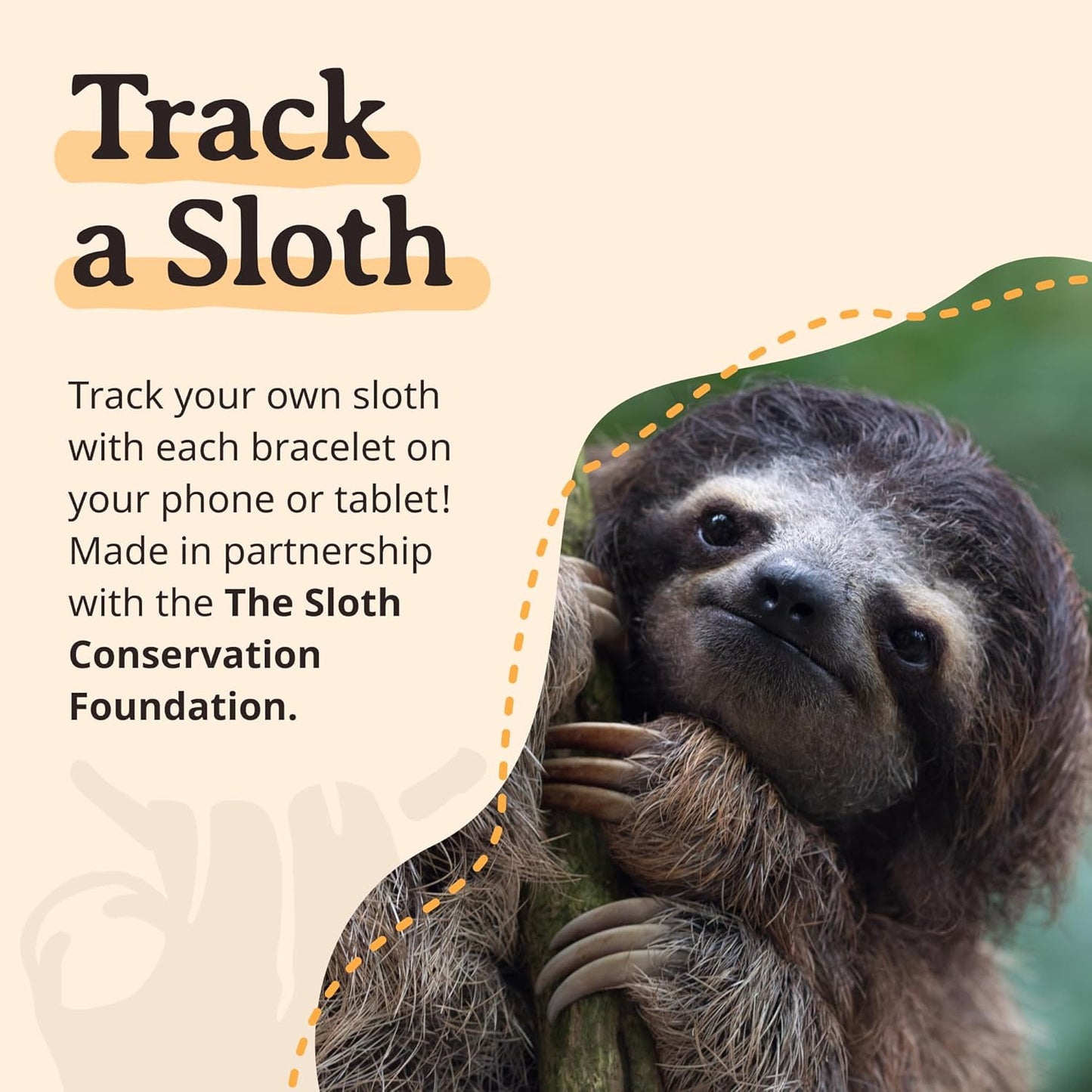 Sloth Tracking Bracelet, Elastic, Supports Sloth Conservation Foundation, One Size Fits Most for Men and Women